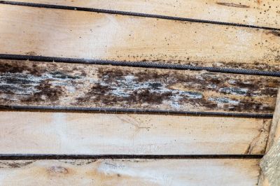 Prevent Mold and Mildew Growth