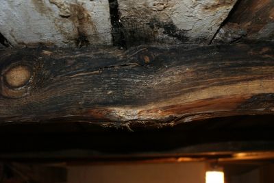 Remove Excess Moisture For Your Attic